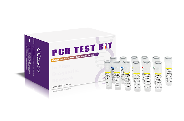 HPV GENOTYPING KIT