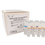 HSV NUCLEIC ACID DETECTION KIT