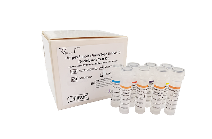 HSV NUCLEIC ACID DETECTION KIT