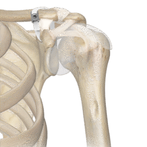 OsteoPoint™ Cerclage Bands & Plates 2