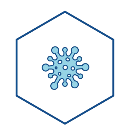 Hepatitis – ELISA