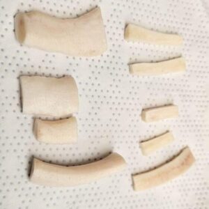 Costal Cartilage Allograft1