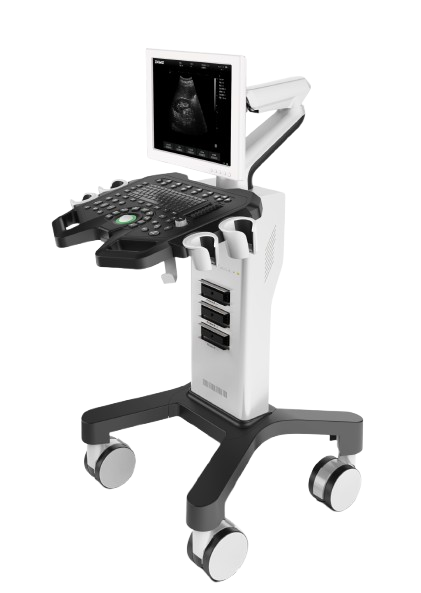 full-digital black and white ultrasound diagnostic system