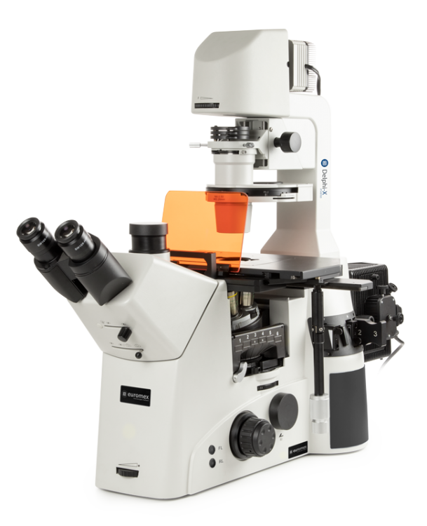 Delphi-X Inverso fluorescence