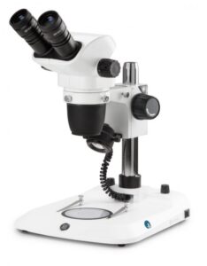 NexiusZoom (EVO) 1