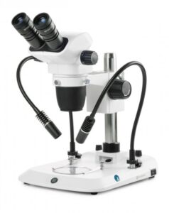 NexiusZoom (EVO) 2