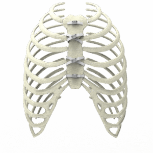 OsteoPoint™ Sternal Cerclage Band System