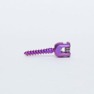 Spinal Fixation Systems