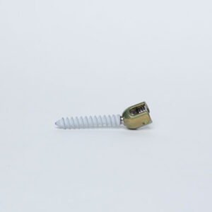 Spinal Fixation Systems