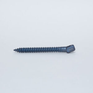 Spinal Fixation Systems