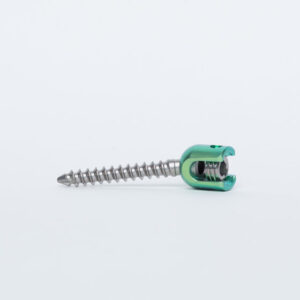 Spinal Fixation Systems