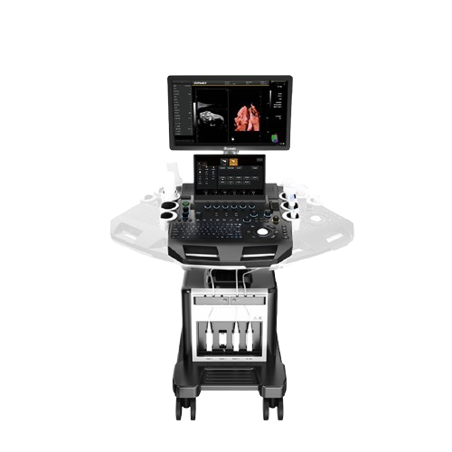 Trolley 3D 4D Color Ultrasonic Diagnostic Apparatus DW-T30