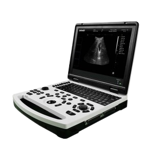 DW-690 cheap laptop black and white ultrasound system