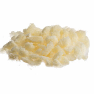 bone particulates