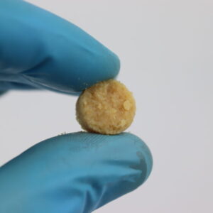dbm (Demineralized Bone Matrix)4