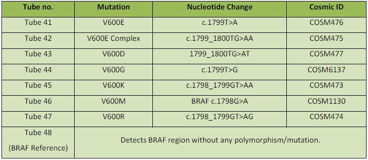 Colorectal Cancer Mutation Panel Kit