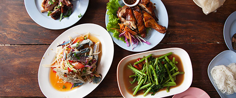 Food & Beverage Microbiology