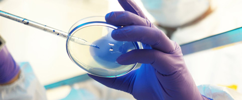 Microbiology & Diagnostics