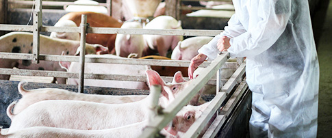 Veterinary Microbiology