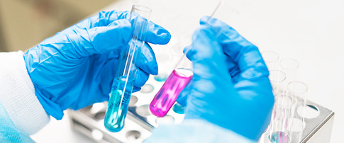 Water Testing Microbiology