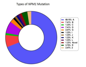 TRUPCR® NPM1 Qualitative KIT